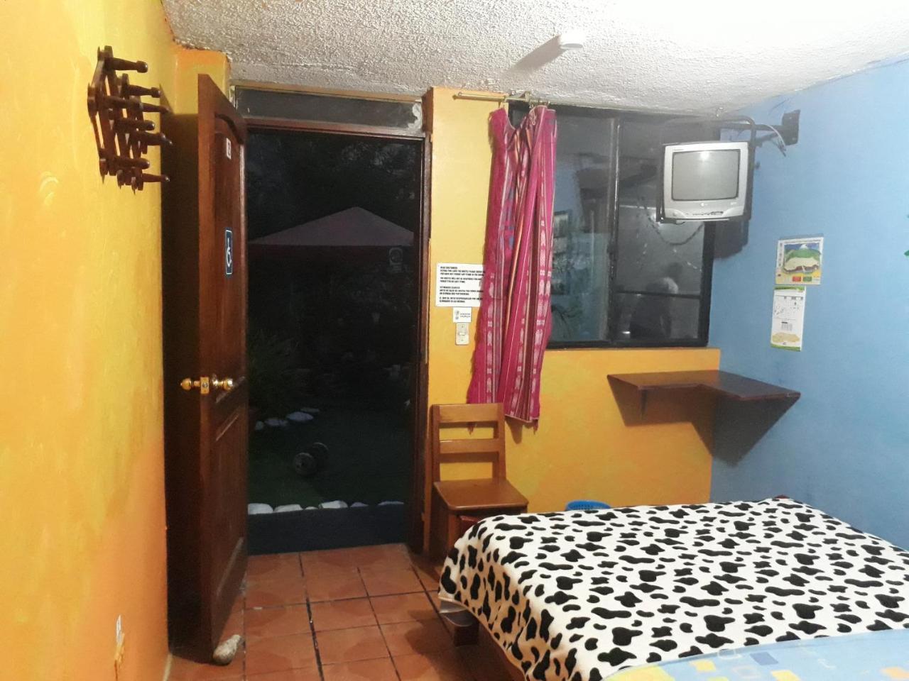 Transilvania Baños Zewnętrze zdjęcie